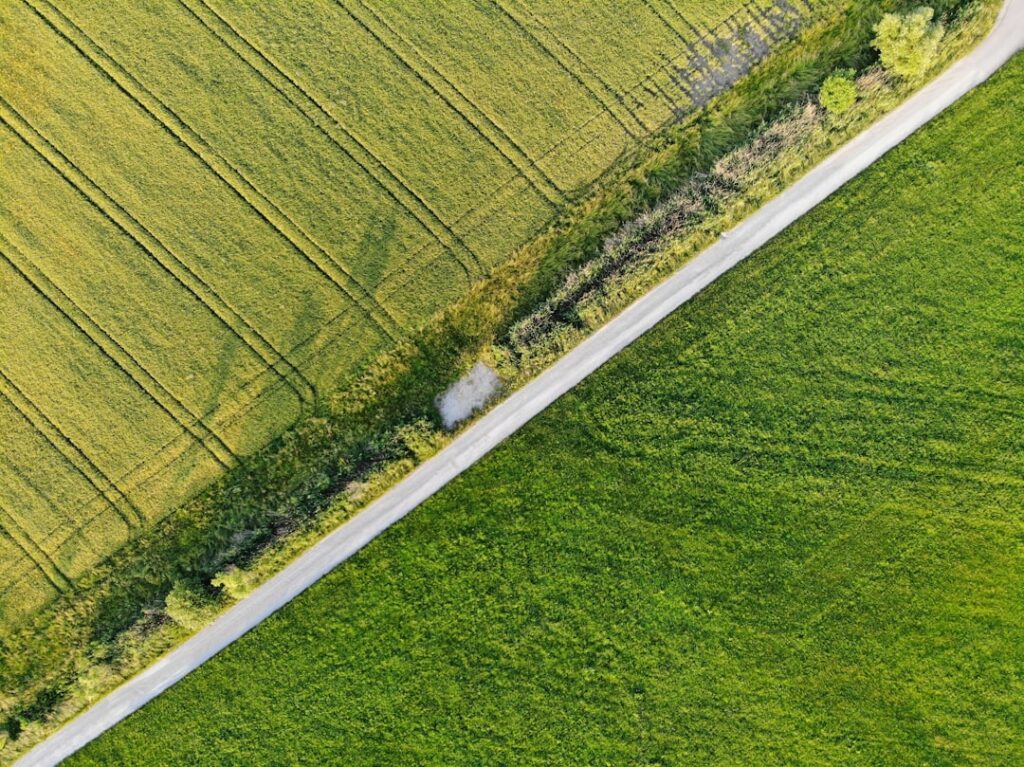 Two people walk through a green field with trees, measuring and inspecting a rural property boundary.