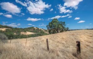 Rolling fields, trees, and a split-rail fence under a partly cloudy sky, with wildflowers in the foreground.