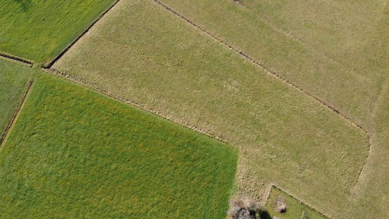 A surveyor using equipment to measure property lines on a grassy rural lot with marking flags visible