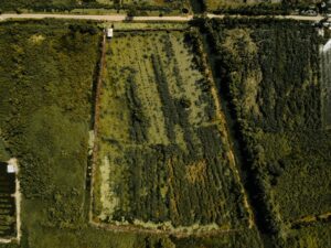 Aerial view of rural land parcels with visible homes, fields, tree lines, and property boundaries.