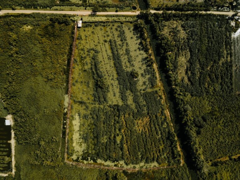 Aerial view of rural land parcels with visible homes, fields, tree lines, and property boundaries.